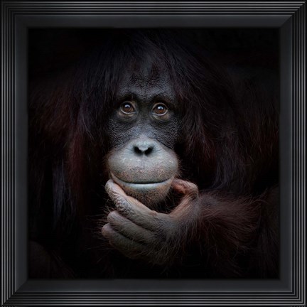 Framed Mirror Image Print