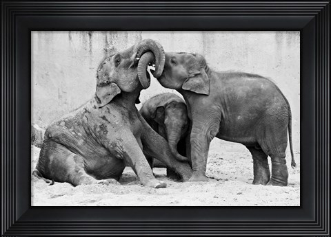 Framed Manage A Trois Print