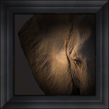Framed Gentle Giant Print