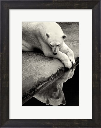 Framed Who Is That Beauty In The Water Print
