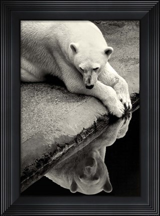 Framed Who Is That Beauty In The Water Print