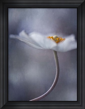 Framed Beauty Within Print