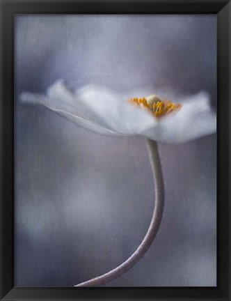 Framed Beauty Within Print