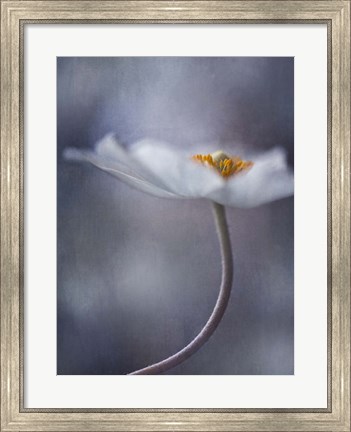 Framed Beauty Within Print