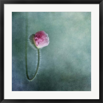 Framed Trust Print