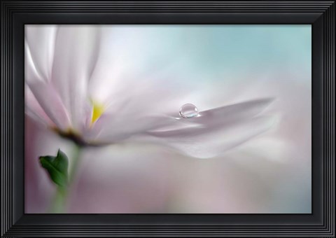 Framed Where Dreams Come True Print