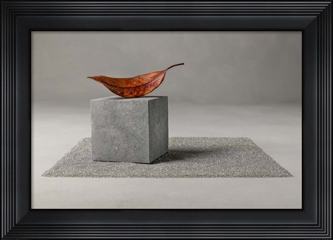 Framed Out of Time Print