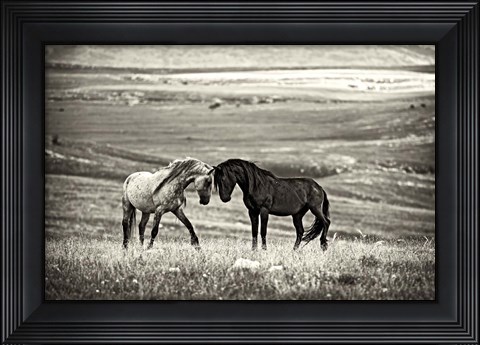 Framed Close Encounter Print