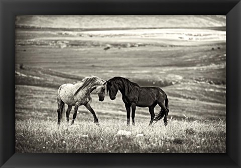 Framed Close Encounter Print