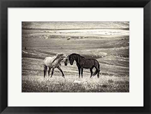 Framed Close Encounter Print