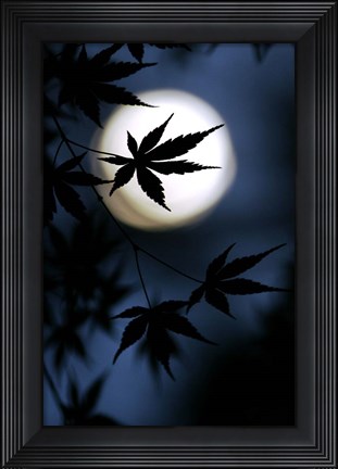 Framed Color Of Japan Print