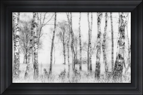Framed Black And White Print
