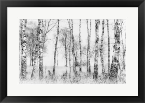 Framed Black And White Print