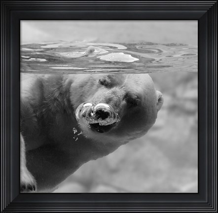 Framed Bubbles Print