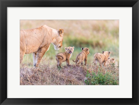 Framed Let&#39;s Go Mom Print