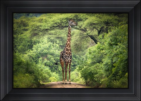 Framed Unexpected Meeting Print