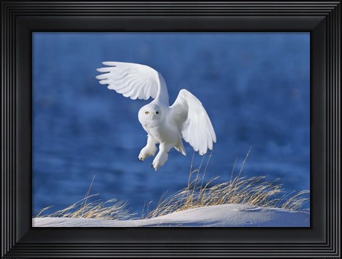 Framed White Spirit Demon Print