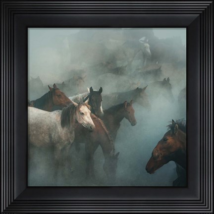 Framed Lost Horses Print