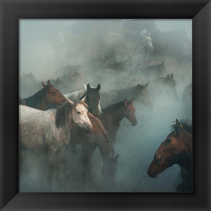 Framed Lost Horses Print