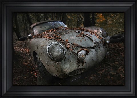 Framed Red Forest Print