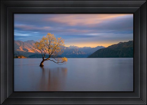 Framed Morning Glow Print