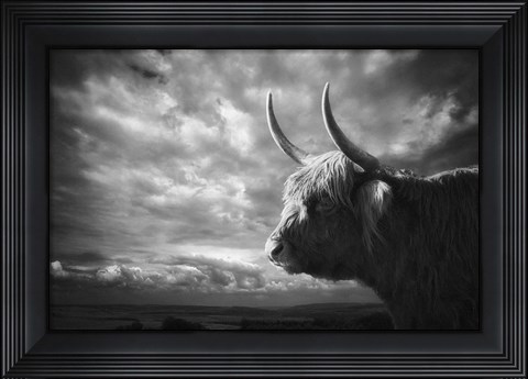 Framed Highlands Print