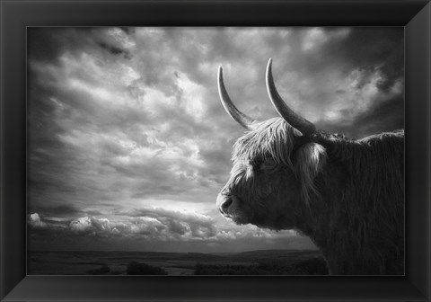 Framed Highlands Print