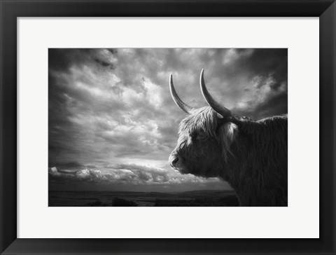 Framed Highlands Print