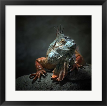 Framed I Am The King, Who Else! Print