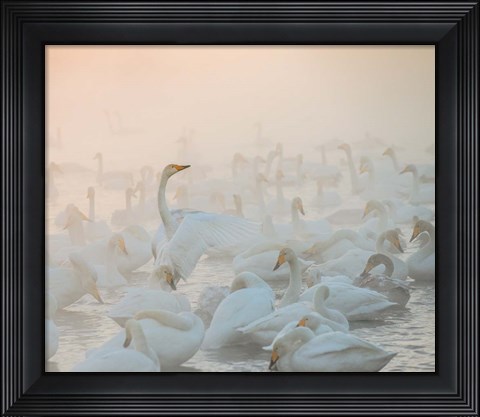 Framed Song Of The Morning Light Print