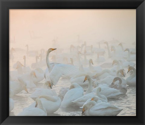 Framed Song Of The Morning Light Print