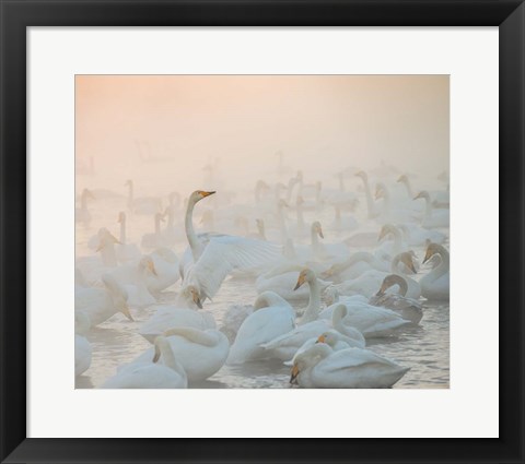 Framed Song Of The Morning Light Print