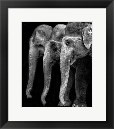 Framed Nature&#39;s Great Masterpiece, An Elephant Print