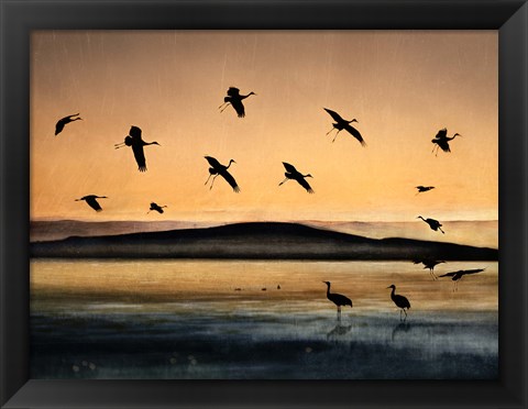 Framed Fly-In At Sunset Print