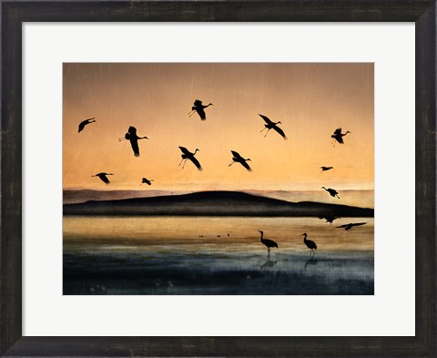 Framed Fly-In At Sunset Print