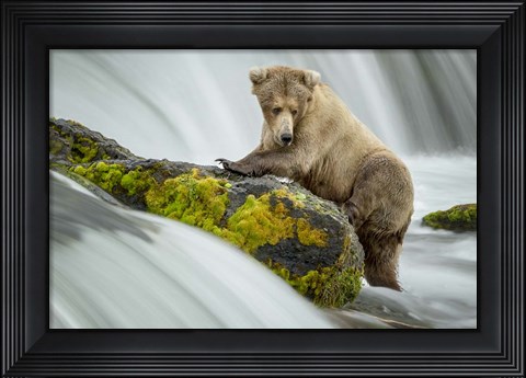 Framed Left Wanting Print