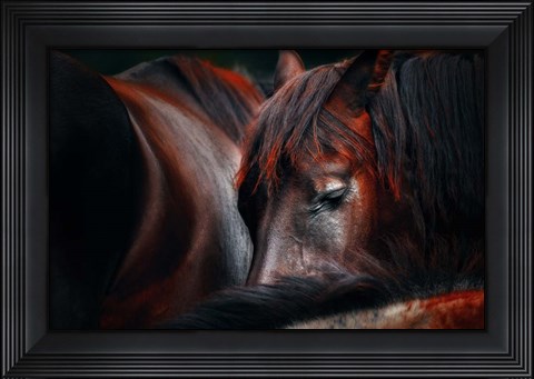 Framed Sleep Huddle Print