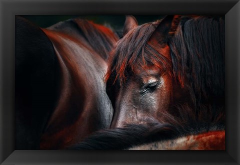 Framed Sleep Huddle Print