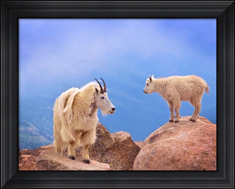 Framed Mother&#39;s Smile Print