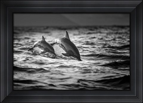Framed Mother And The Baby Print