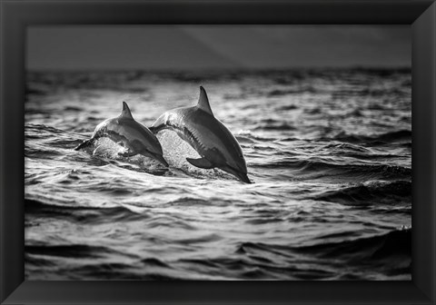 Framed Mother And The Baby Print