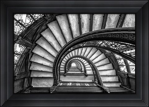 Framed Rookery Print