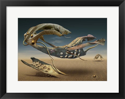 Framed K 214 Print