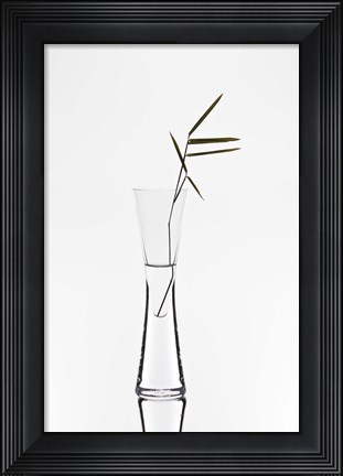 Framed Bamboo Print