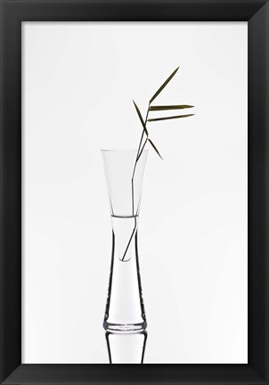 Framed Bamboo Print