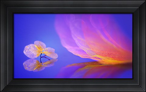 Framed Dream Print