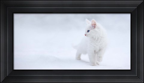 Framed White As Snow Print