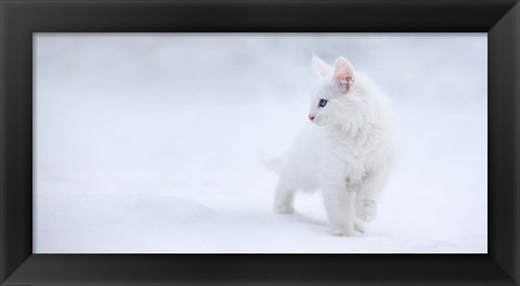 Framed White As Snow Print