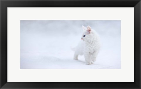 Framed White As Snow Print