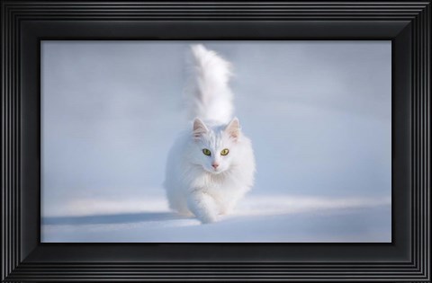 Framed Yellow Eyes Print
